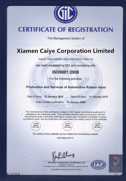China Caiye Printing Equipment Co., LTD Certificações